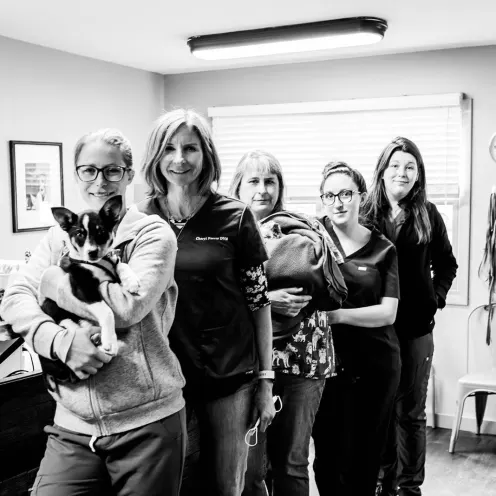 Black and white image of the staff at The Valley Veterinary Hospital